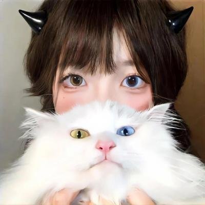 我的老板是小猪